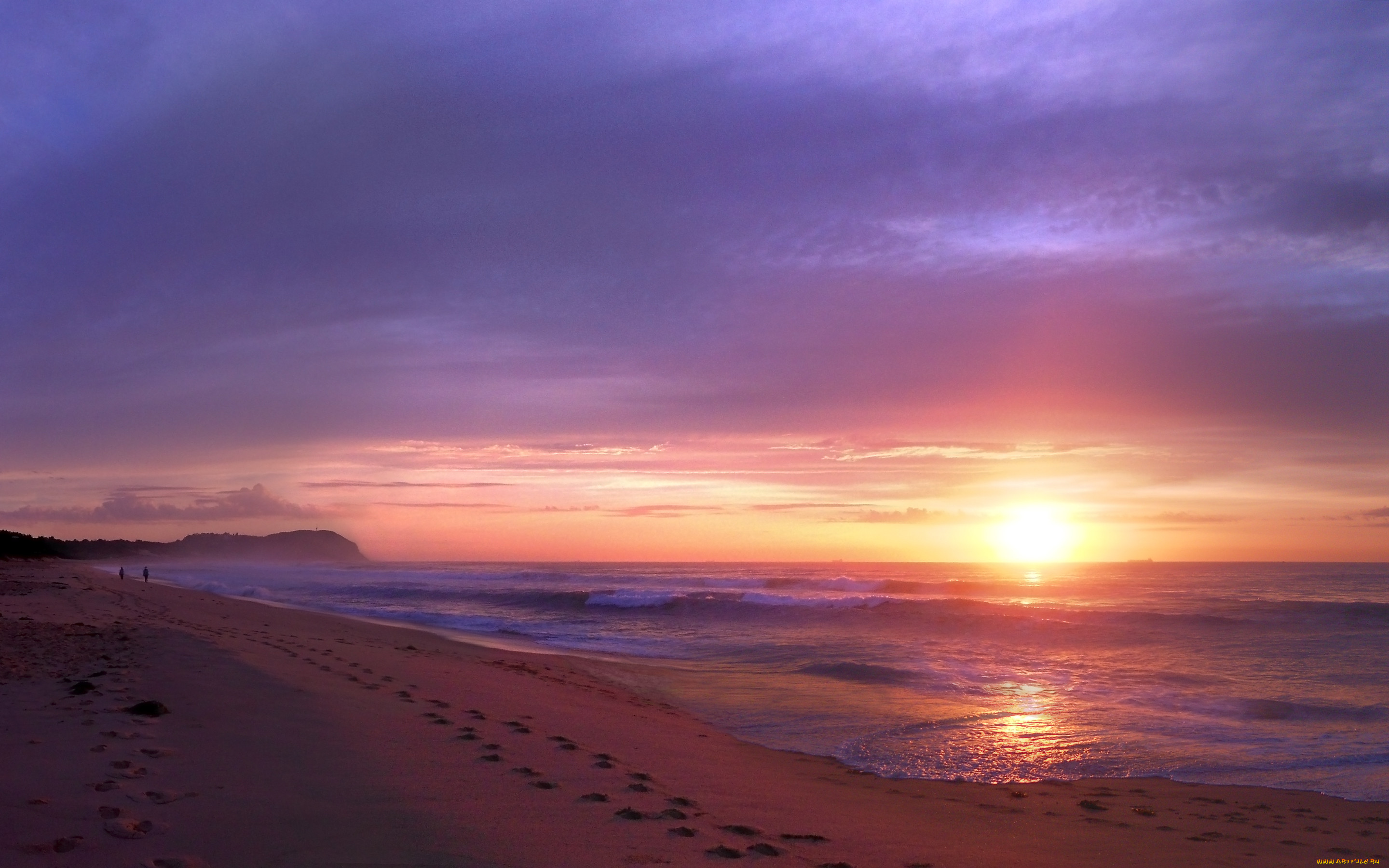 wamberal, beach, australia, , , 